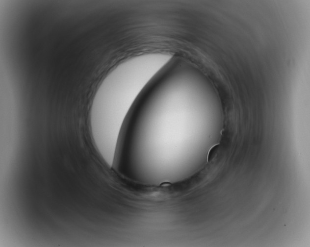 X0000099970750200805231001