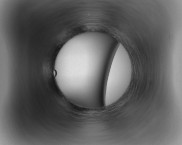 X0000099970751200805231001