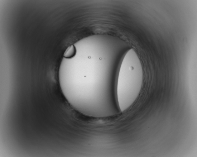 X0000099970755200805231001