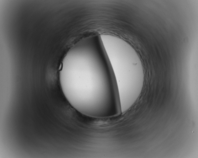 X0000099970756200805231001