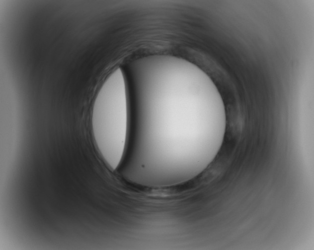 X0000099970758200805231001