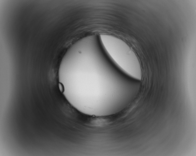 X0000099970759200805231001