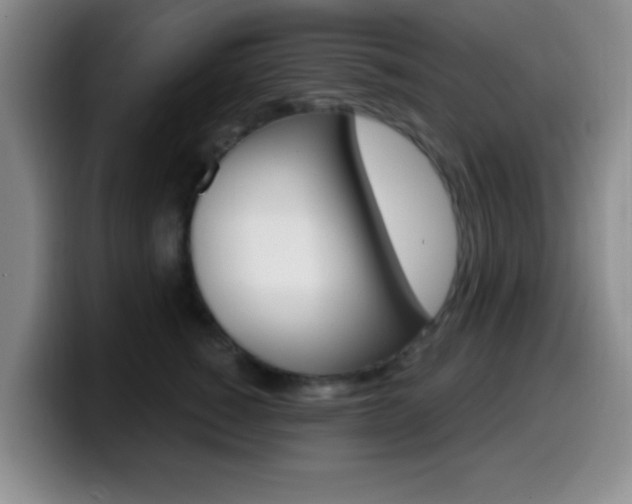 X0000099970760200805231001