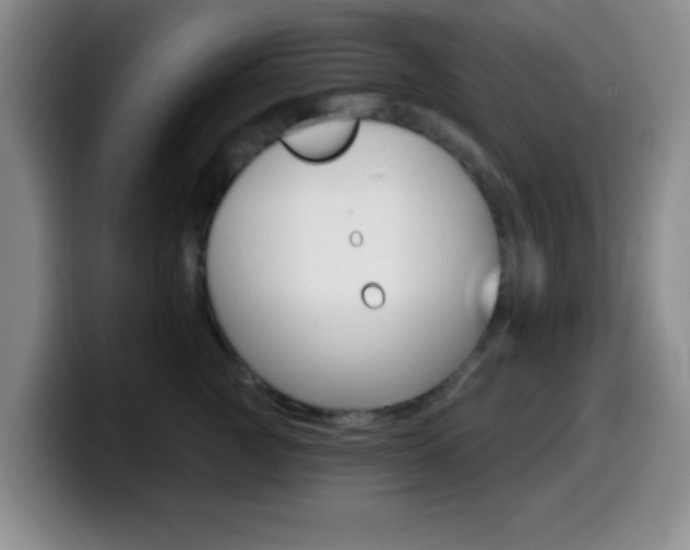 X0000099970761200805231001