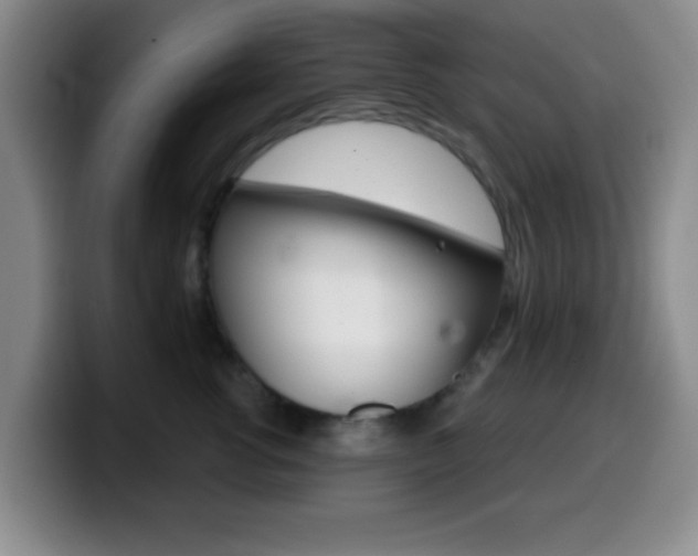 X0000099970762200805231001