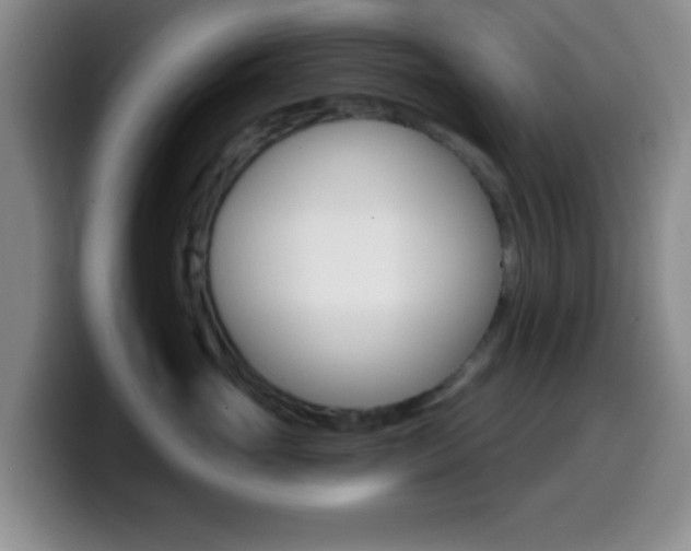 X0000099970765200805231001