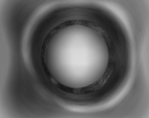 X0000099970766200805231002