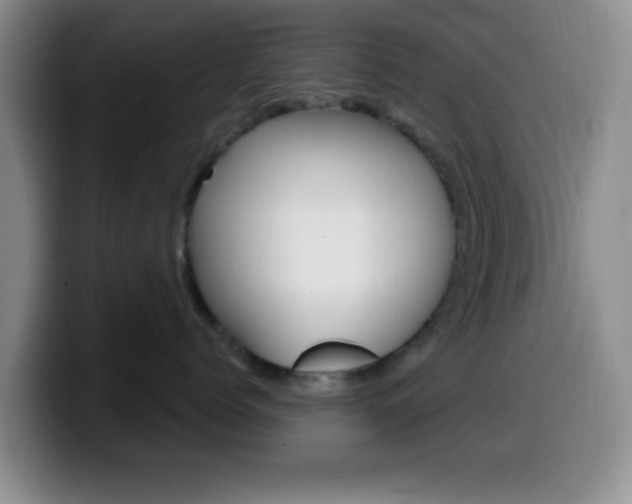 X0000099970768200805231002