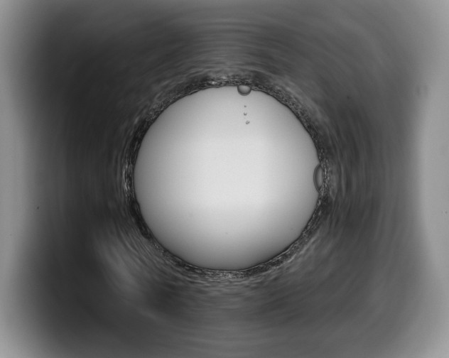 X0000099970770200805231001