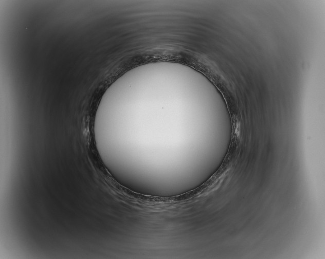 X0000099970771200805231001