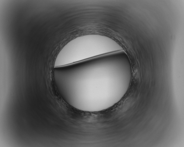 X0000099970772200805231001