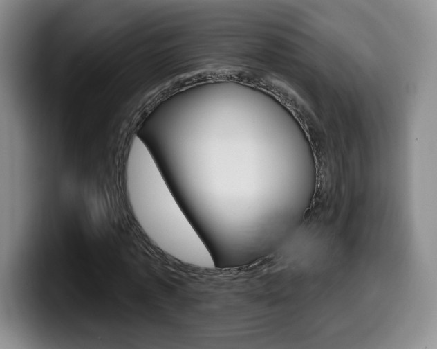 X0000099970773200805231001