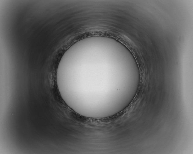 X0000099970774200805231001