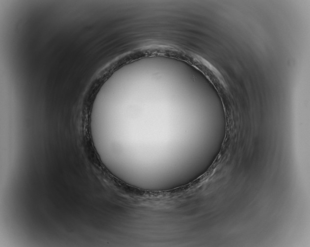 X0000099970775200805231001