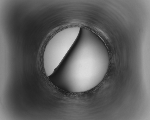X0000099970776200805231001