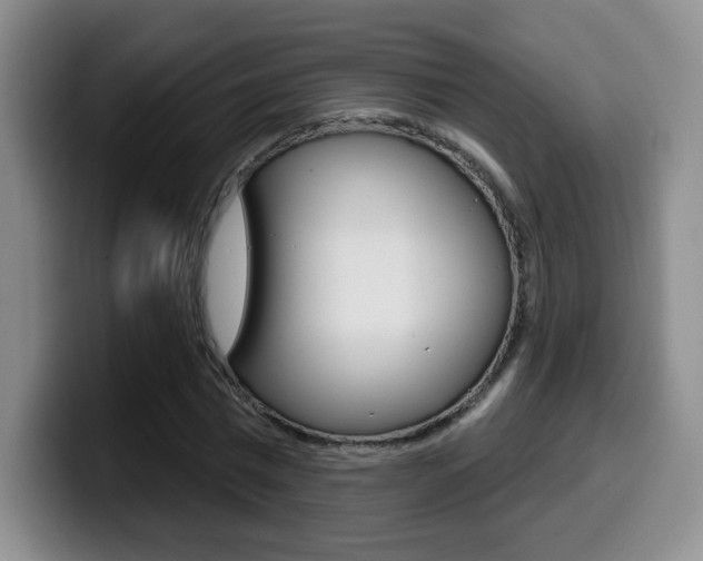X0000099970777200805231001