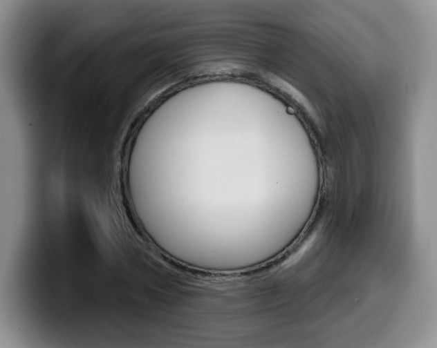 X0000099970778200805231001