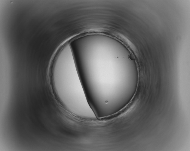 X0000099970779200805231001