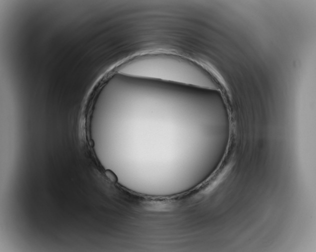 X0000099970781200805231001