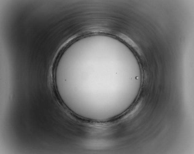 X0000099970782200805231001