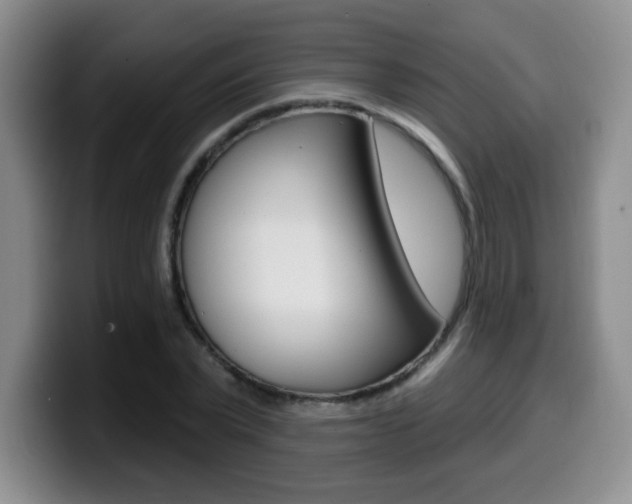 X0000099970783200805231001