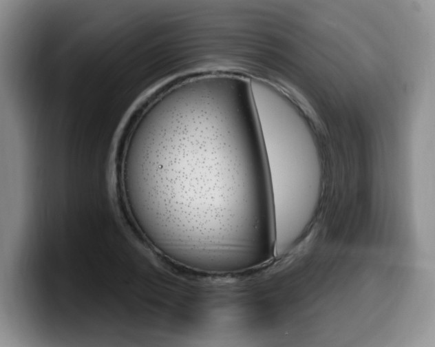 X0000099970784200805231001