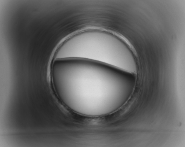 X0000099970791200805231001