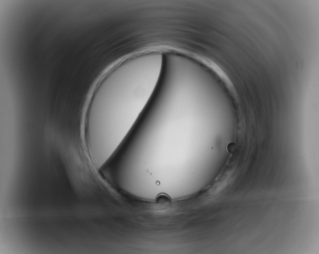 X0000099970799200805231000