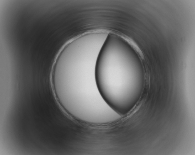 X0000099970805200805231000