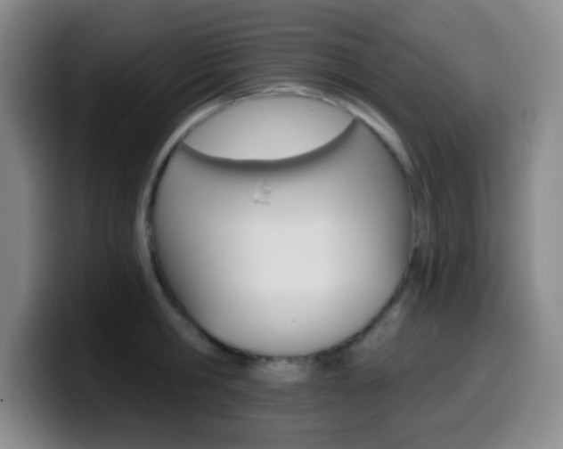 X0000099970806200805231000