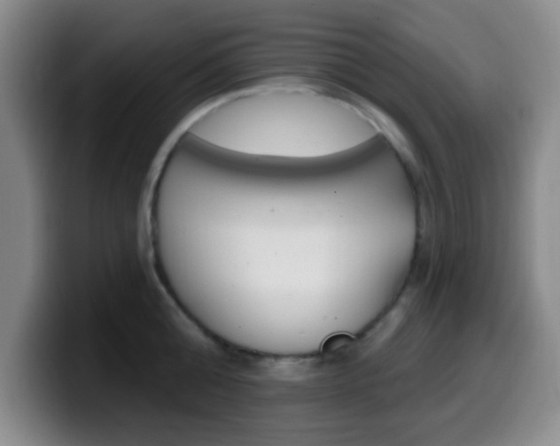 X0000099970808200805231000
