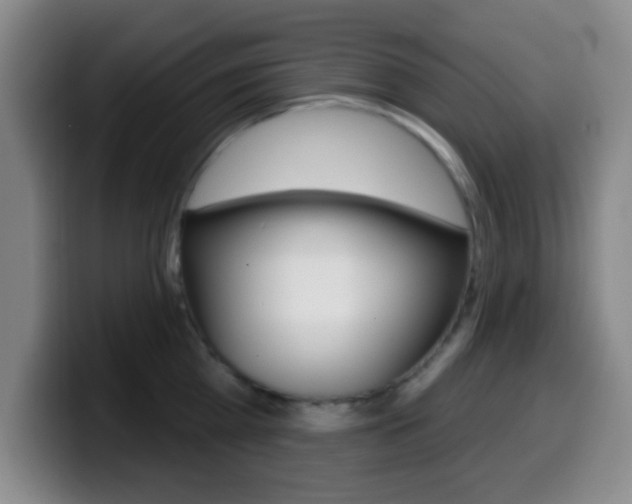 X0000099970809200805231000