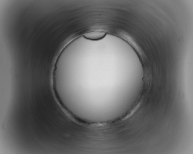 X0000099970810200805231000