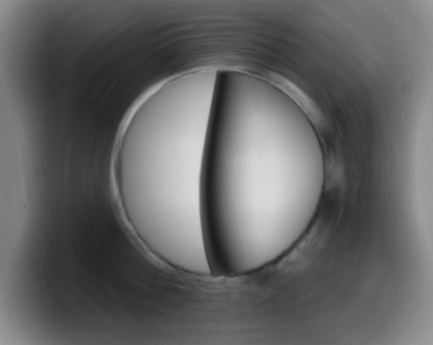 X0000099970812200805231000
