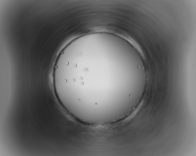 X0000099970814200805231000