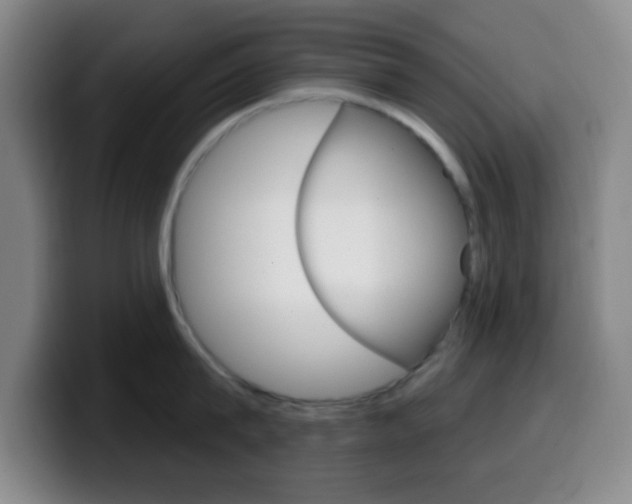 X0000099970815200805231000