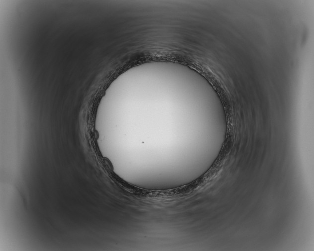 X0000099970817200805231000