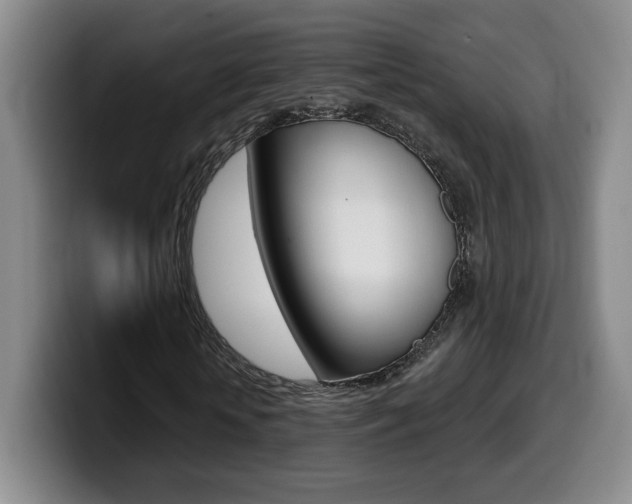 X0000099970818200805231000
