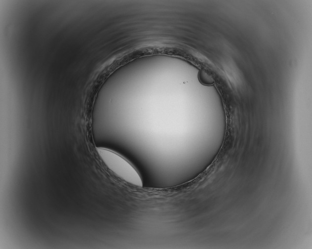 X0000099970822200805231000