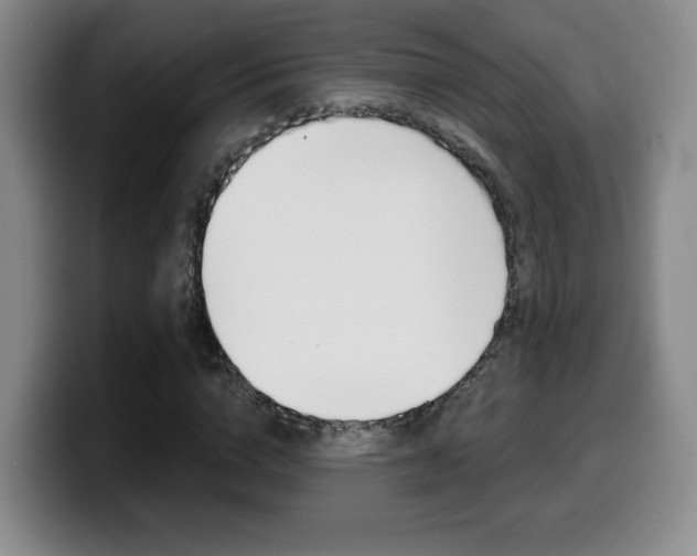 X0000099970824200805231000