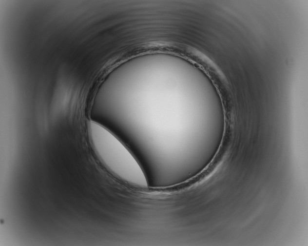 X0000099970825200805231000