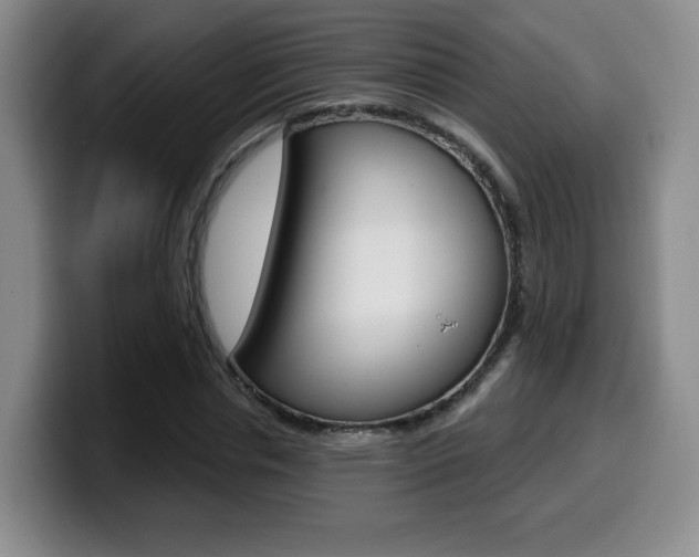 X0000099970826200805231000