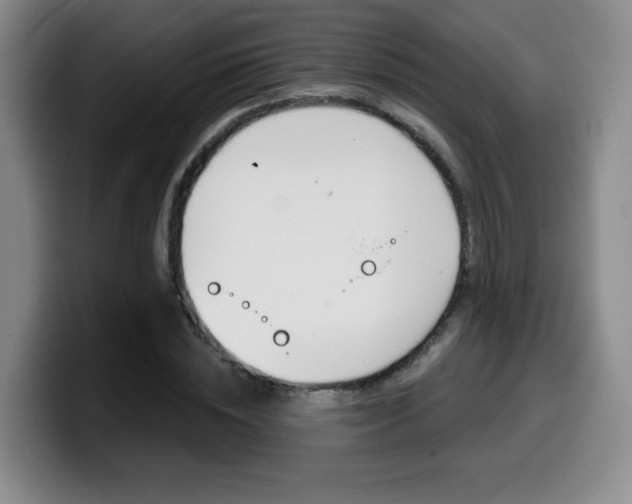 X0000099970828200805231000