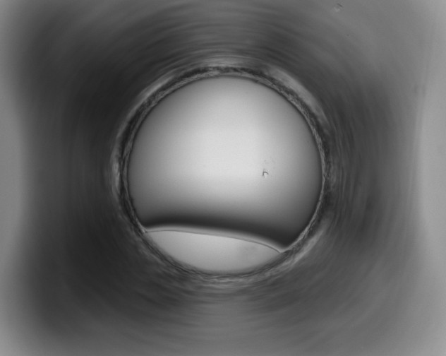 X0000099970829200805231000