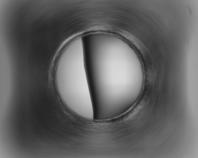X0000099970830200805231000