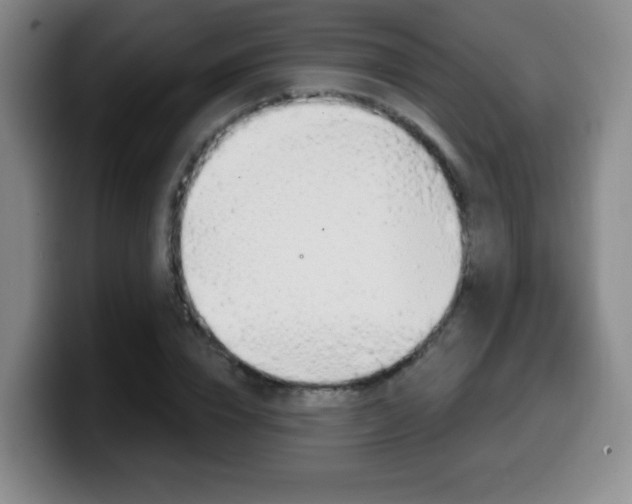 X0000099970832200805231000