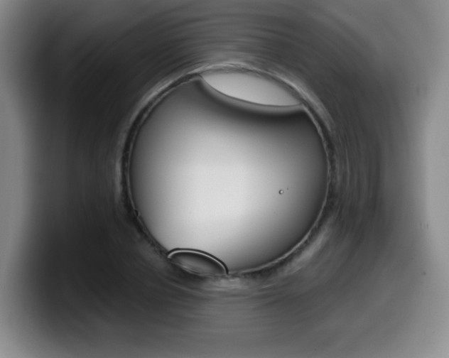 X0000099970834200805231000