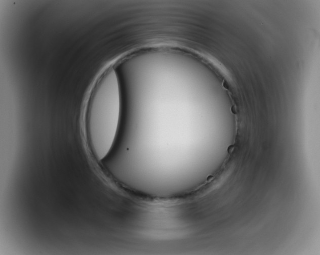 X0000099970840200805231000