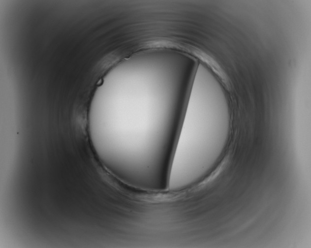 X0000099970841200805231000