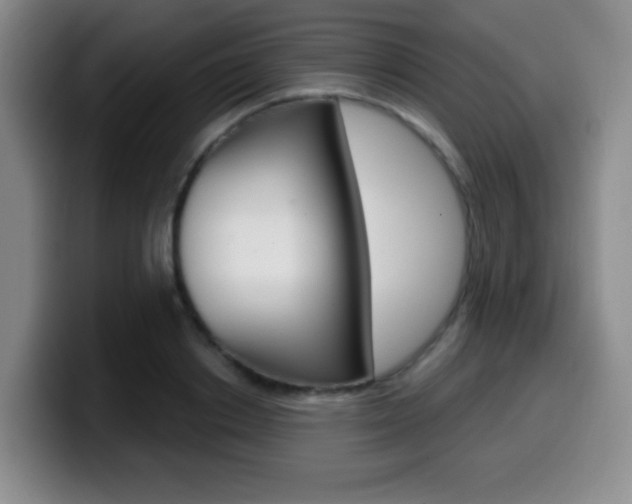 X0000099970842200805231000